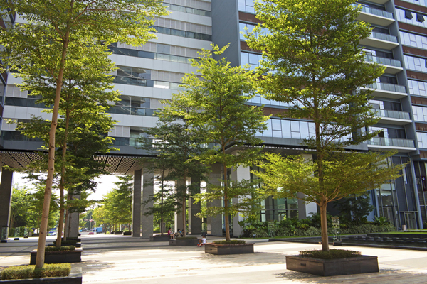 東莞數碼城消防改造工程項目 東莞數碼城消防改造工程項目