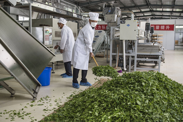 梅州制茶廠消防改造工程項目 梅州制茶廠消防改造工程項目