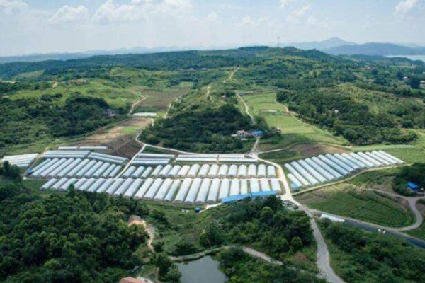 云浮現(xiàn)代農業(yè)產(chǎn)業(yè)園消防改造工程項目 云浮現(xiàn)代農業(yè)產(chǎn)業(yè)園消防改造工程項目