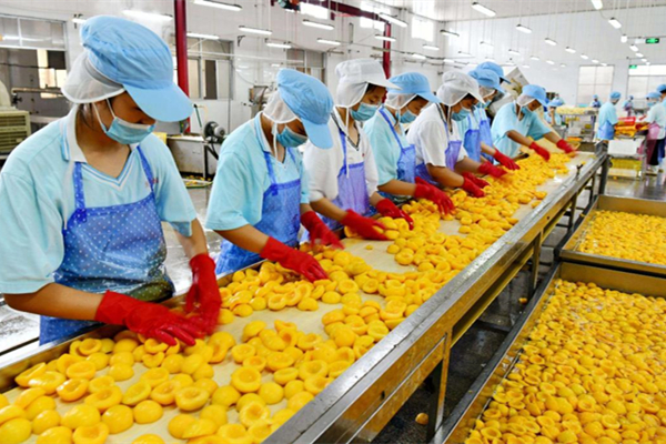 茂名罐頭食品加工工廠消防維保 茂名罐頭食品加工工廠消防維保