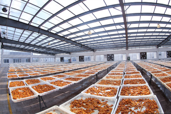 云浮蜜餞工廠消防維保 云浮蜜餞工廠消防維保