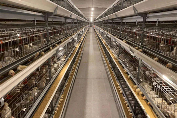 云浮肉雞養殖工廠消防維保 云浮肉雞養殖工廠消防維保